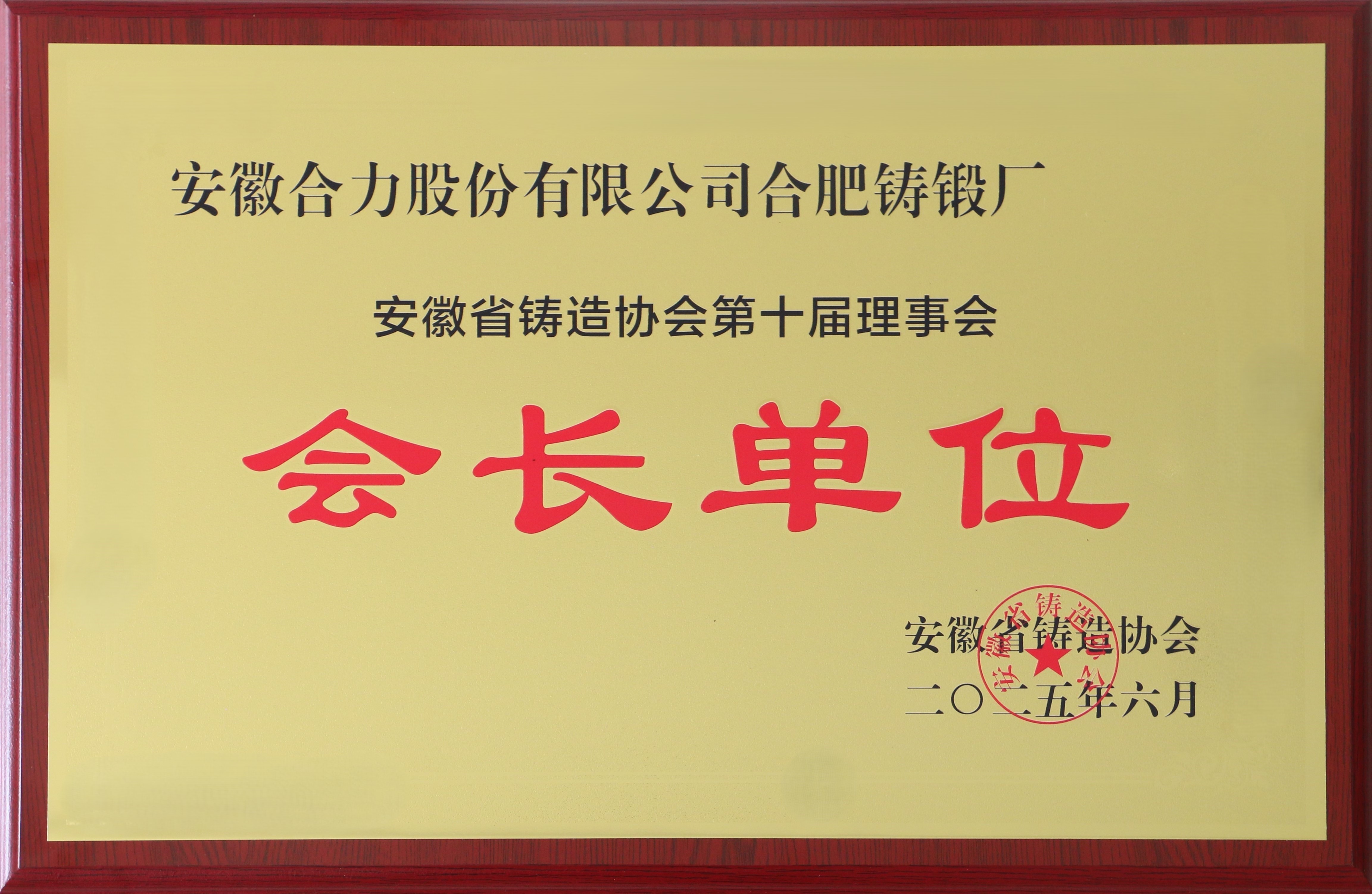 安徽省鑄造協(xié)會(huì)第十屆會(huì)長(zhǎng)單位.jpg